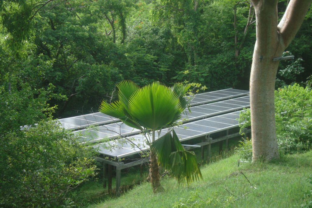 Das Bild zeigt eine Photovoltaik-Anlage, umgeben von tropischen Pflanzen.